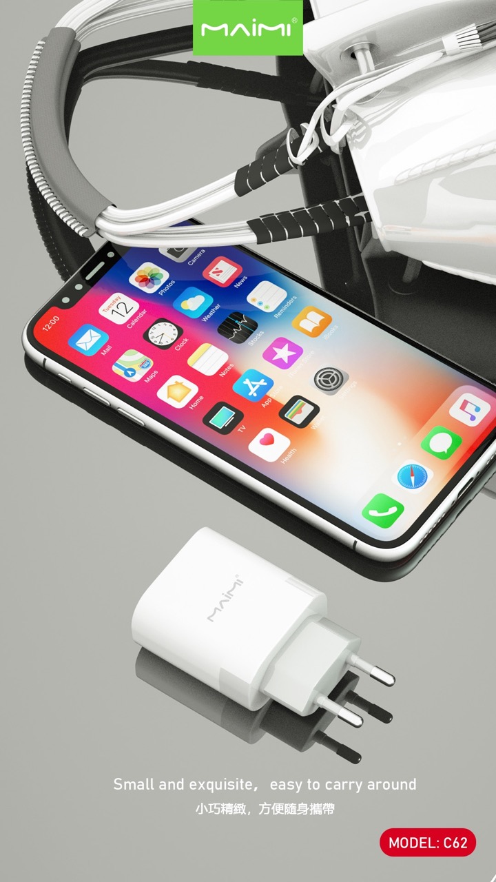 C62 Wall Charger EU
