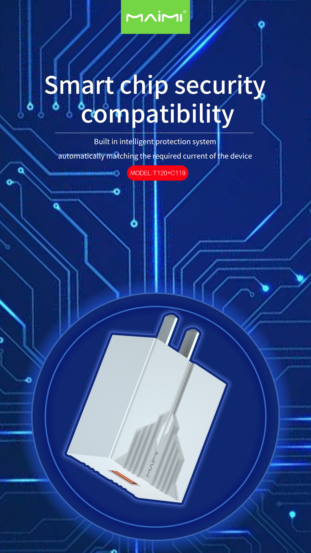 C119 Wall Charger US