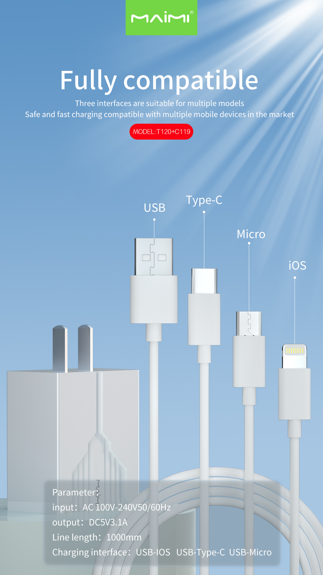 C119 Wall Charger US