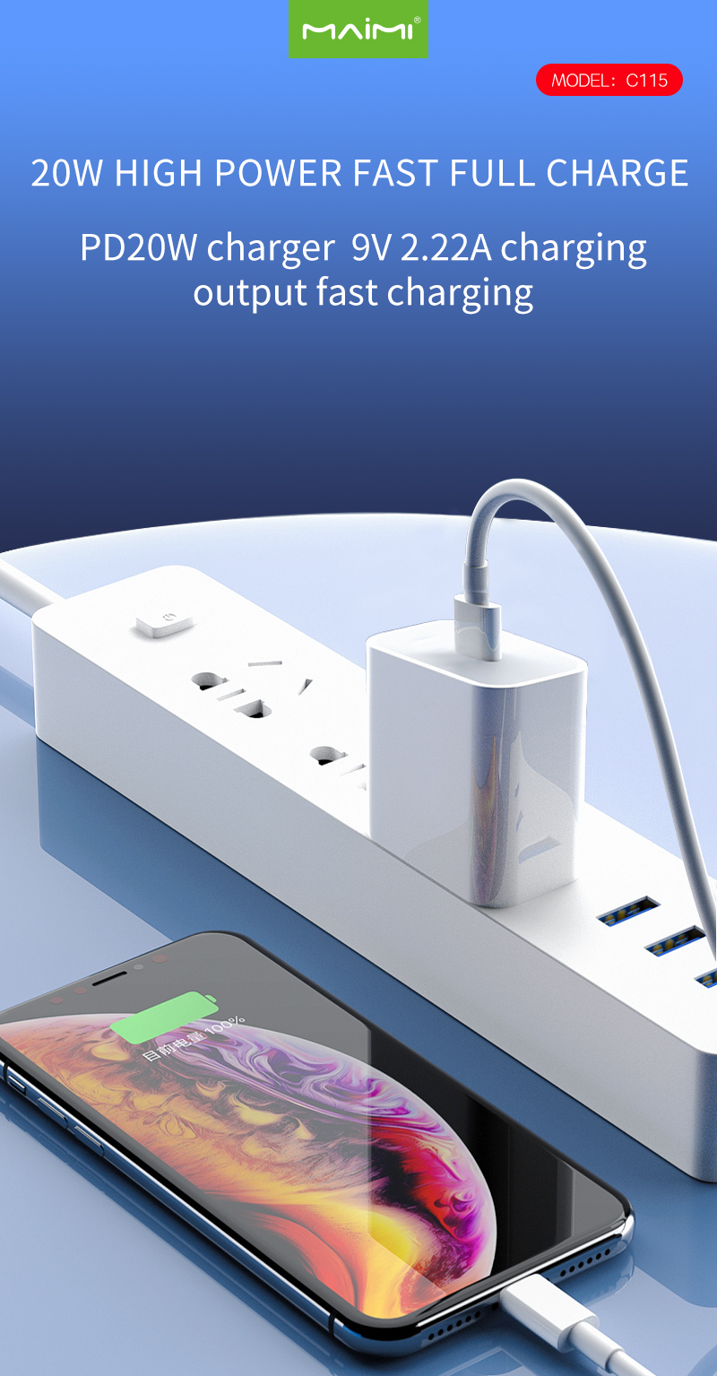 C115 Wall Charger US C115 Wall Charger US