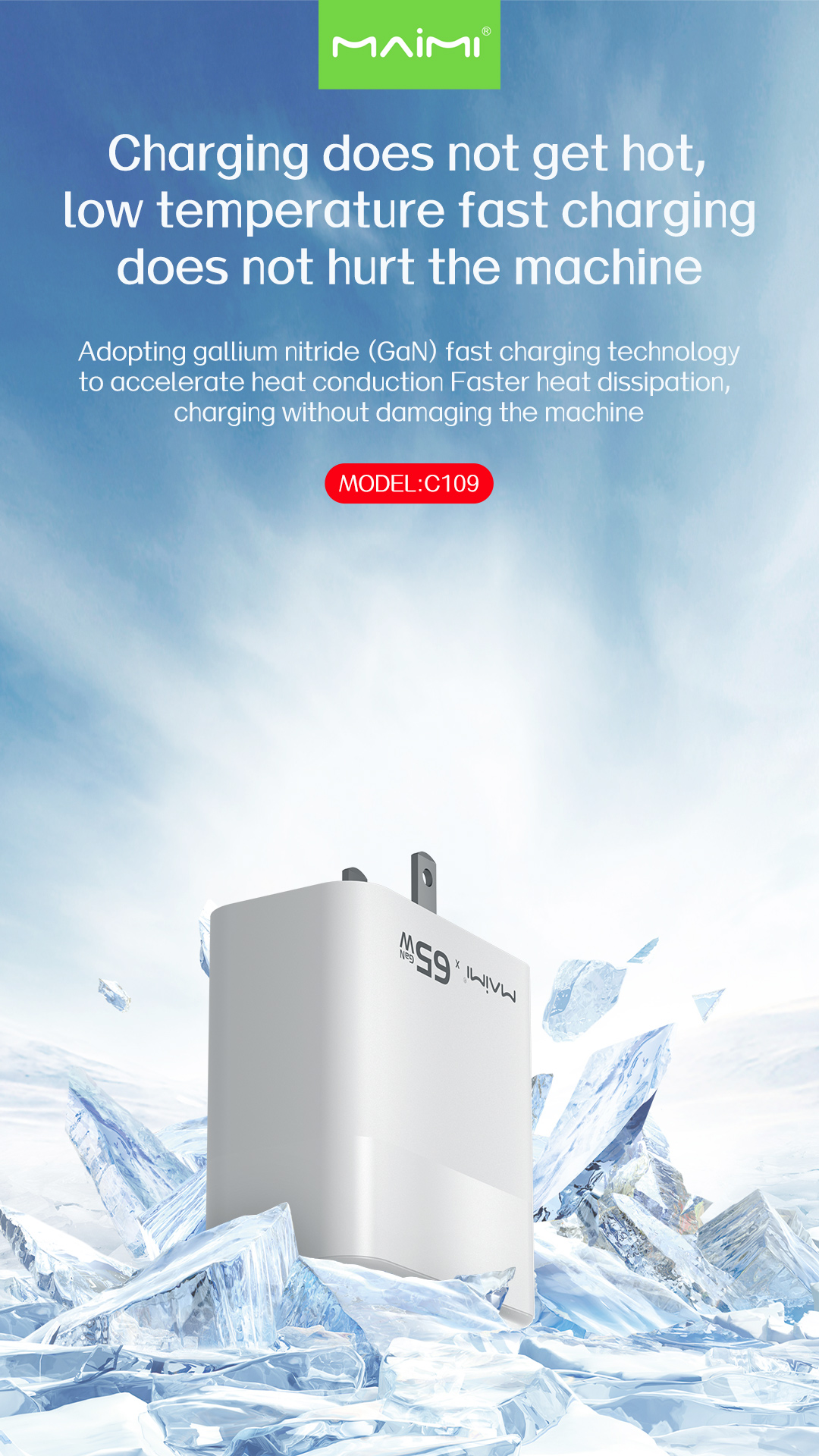 C109 Wall Charger US C109 Wall Charger US