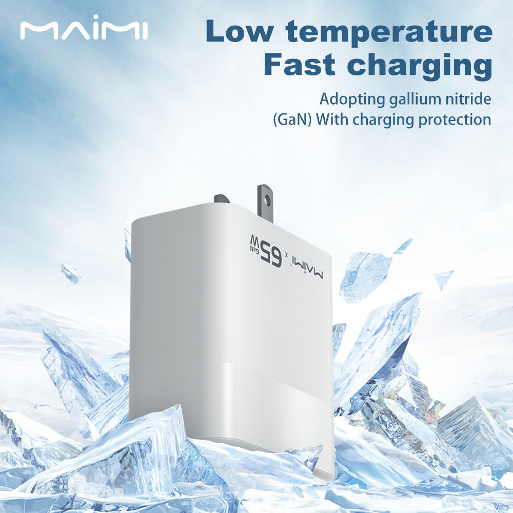 C109 Wall Charger US