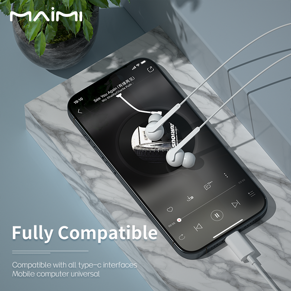 H57 Type-C Wired Earphone
