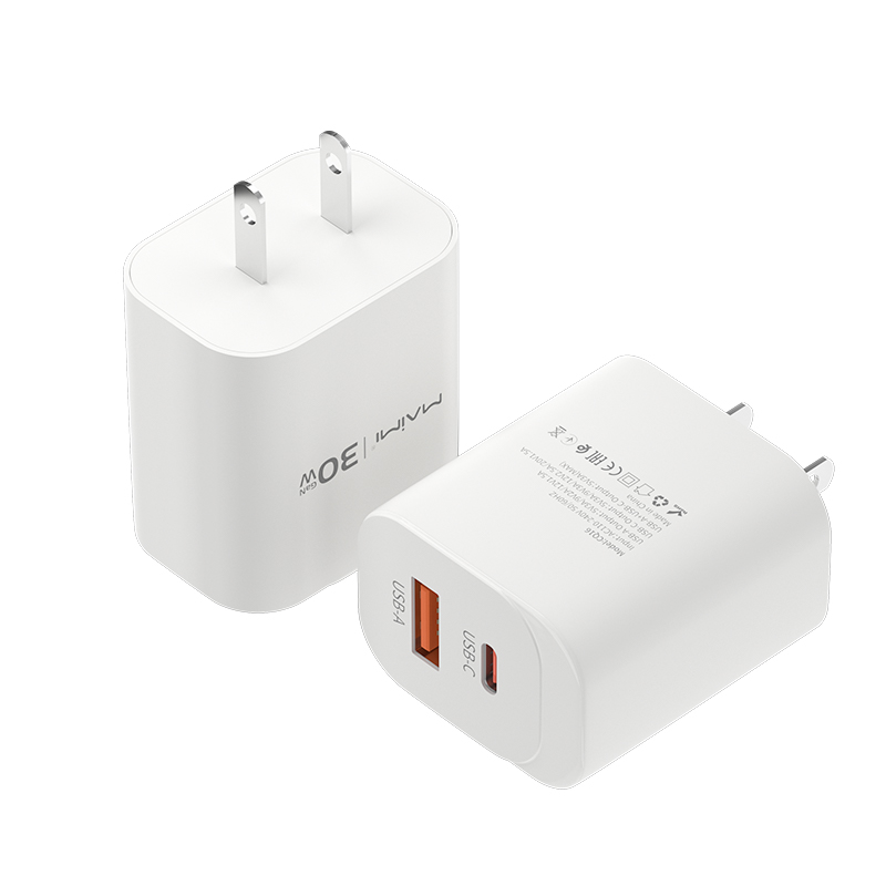 30W USB-C PD & USB-A Fast Charger US Plug | Wide Voltage Dual Port Wall Charger for iPhone & Android